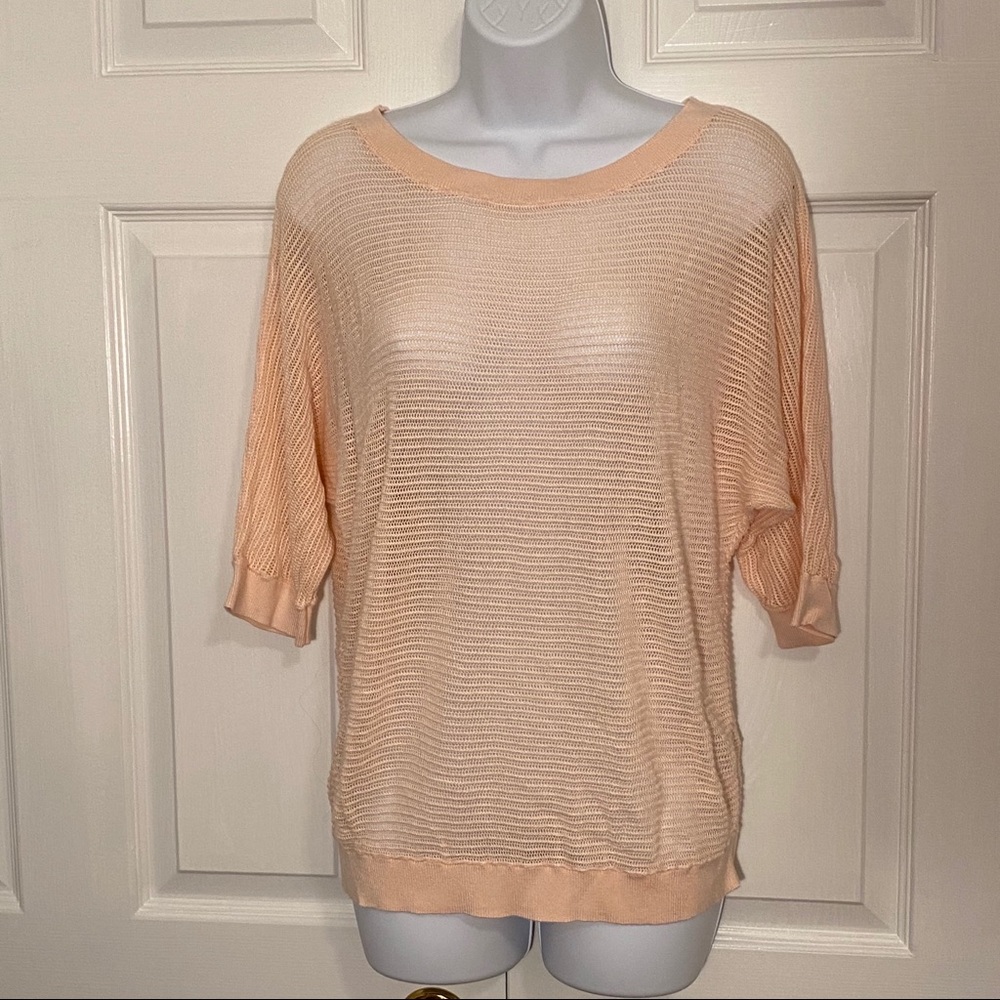 Express Sheer Knit Top Size L